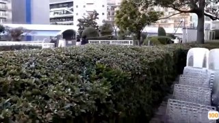 在线天天国产色-免费在线观看-日韩中文字幕